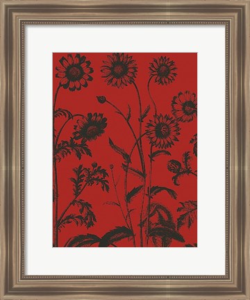 Framed Chrysanthemum 9 Print