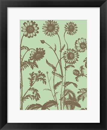 Framed Chrysanthemum 11 Print