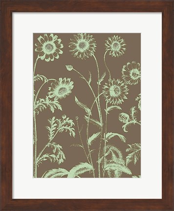 Framed Chrysanthemum 12 Print