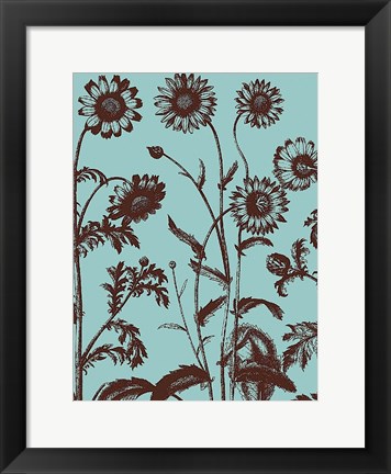 Framed Chrysanthemum 18 Print