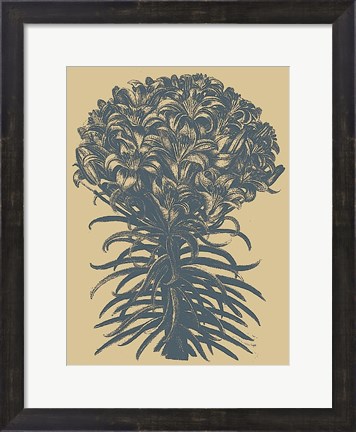 Framed Lilies 1 Print