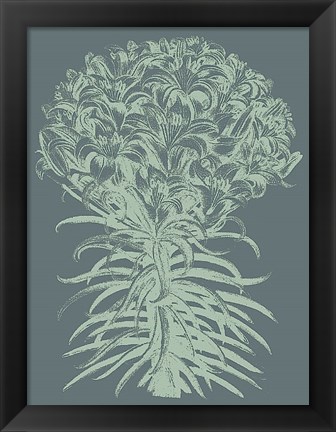 Framed Lilies 7 Print