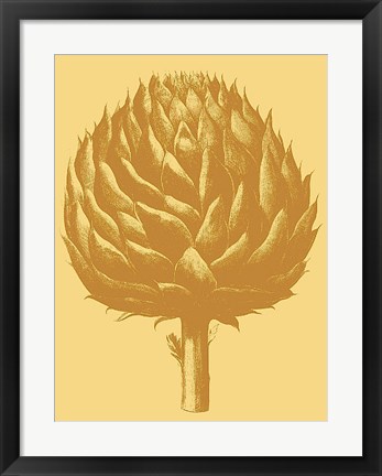 Framed Artichoke 19 Print