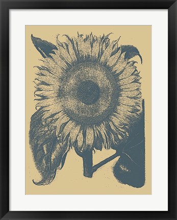 Framed Sunflower 1 Print