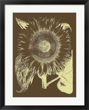 Framed Sunflower 3 Print