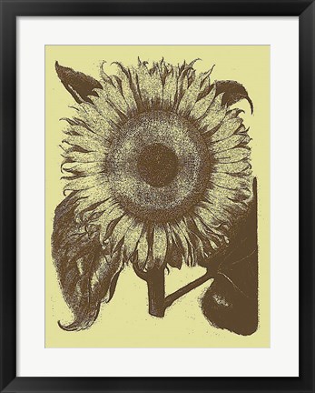 Framed Sunflower 4 Print