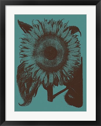 Framed Sunflower 5 Print