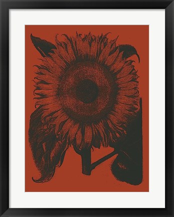 Framed Sunflower 9 Print