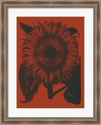 Framed Sunflower 9 Print