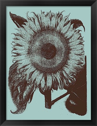 Framed Sunflower 18 Print