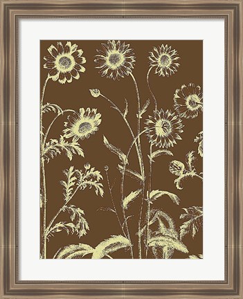 Framed Chrysanthemum 3 Print