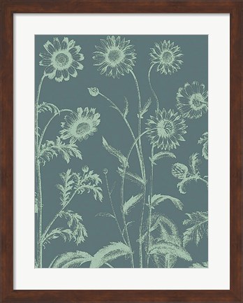 Framed Chrysanthemum 7 Print