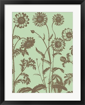 Framed Chrysanthemum 11 Print