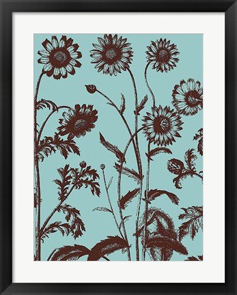 Framed Chrysanthemum 18 Print