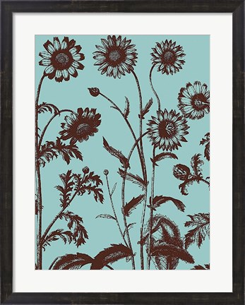 Framed Chrysanthemum 18 Print