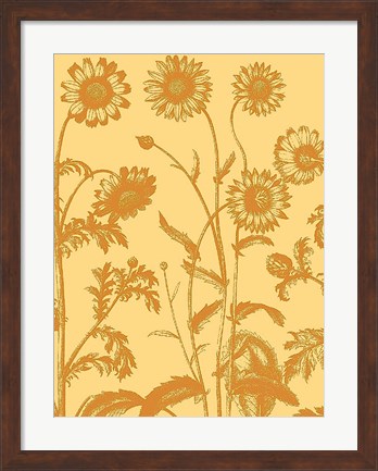 Framed Chrysanthemum 19 Print