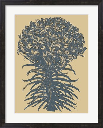 Framed Lilies 1 Print