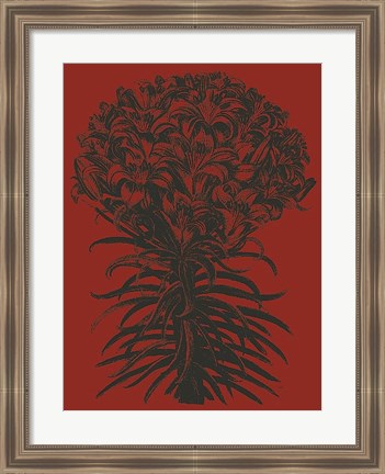 Framed Lilies 9 Print