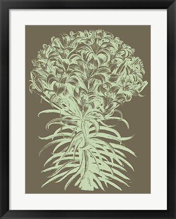 Framed Lilies 12 Print