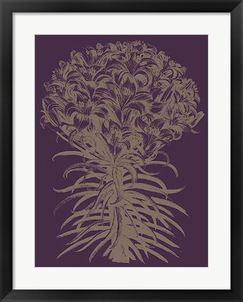 Framed Lilies 13 Print