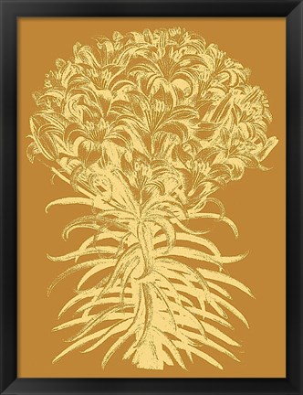 Framed Lilies 20 Print