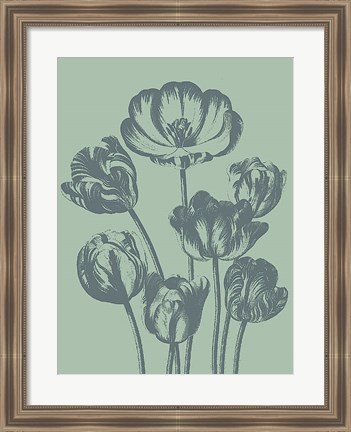 Framed Tulip 8 Print