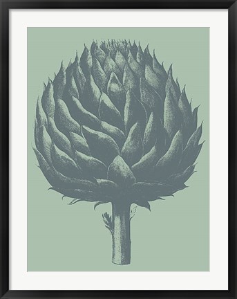 Framed Artichoke 8 Print