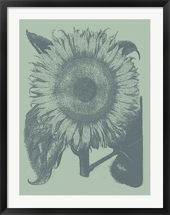 Framed Sunflower 8 Print