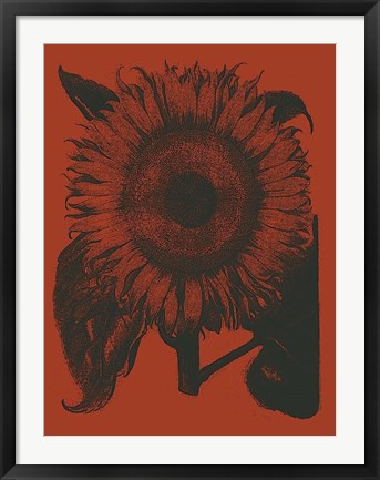 Framed Sunflower 9 Print