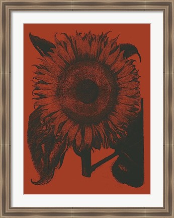 Framed Sunflower 9 Print