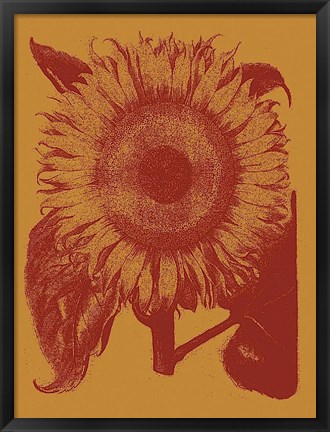 Framed Sunflower 15 Print