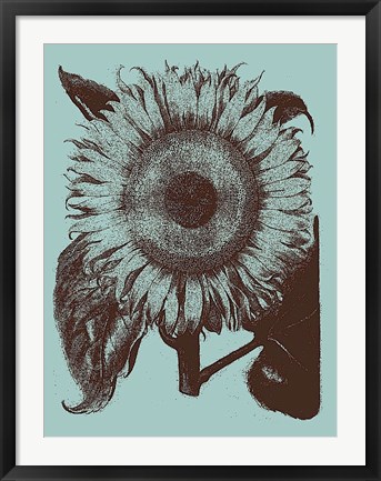 Framed Sunflower 18 Print