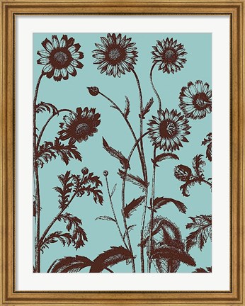 Framed Chrysanthemum 18 Print