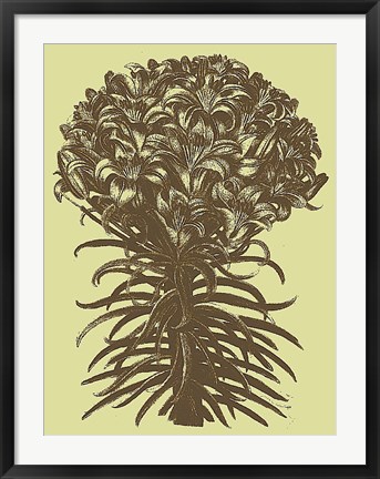 Framed Lilies 4 Print