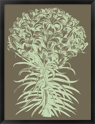 Framed Lilies 12 Print