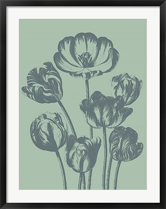 Framed Tulip 8 Print