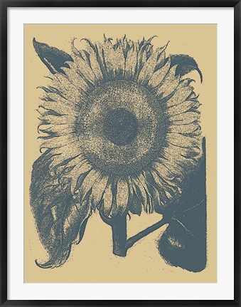 Framed Sunflower 1 Print