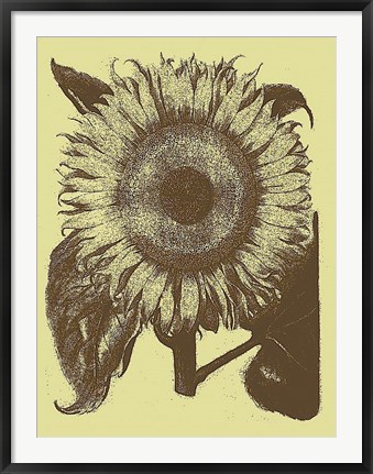 Framed Sunflower 4 Print