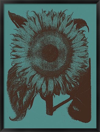 Framed Sunflower 5 Print