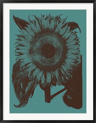 Framed Sunflower 5 Print