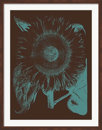 Framed Sunflower 6 Print