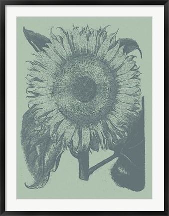 Framed Sunflower 8 Print