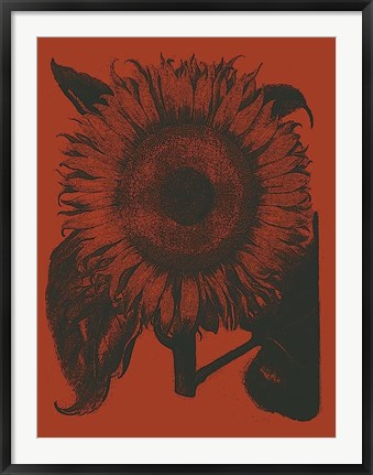 Framed Sunflower 9 Print