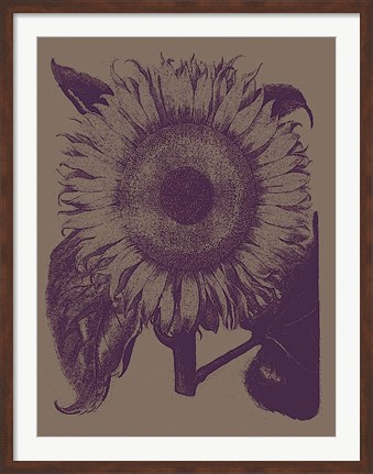 Framed Sunflower 14 Print