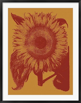 Framed Sunflower 15 Print