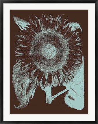 Framed Sunflower 17 Print