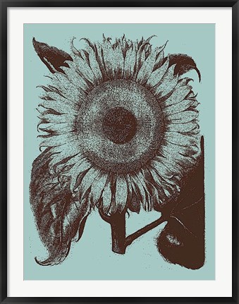 Framed Sunflower 18 Print