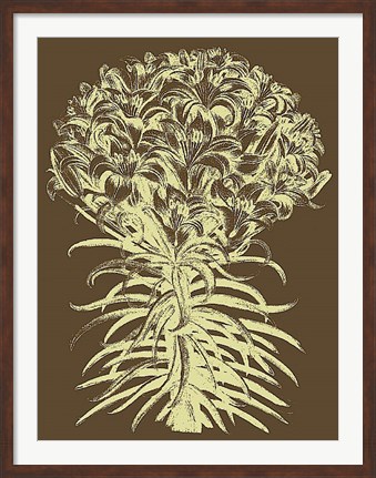 Framed Lilies 3 Print