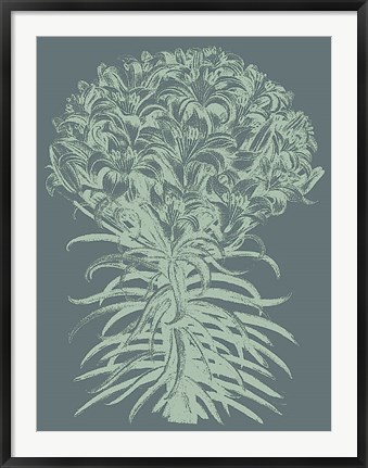 Framed Lilies 7 Print