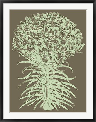 Framed Lilies 12 Print